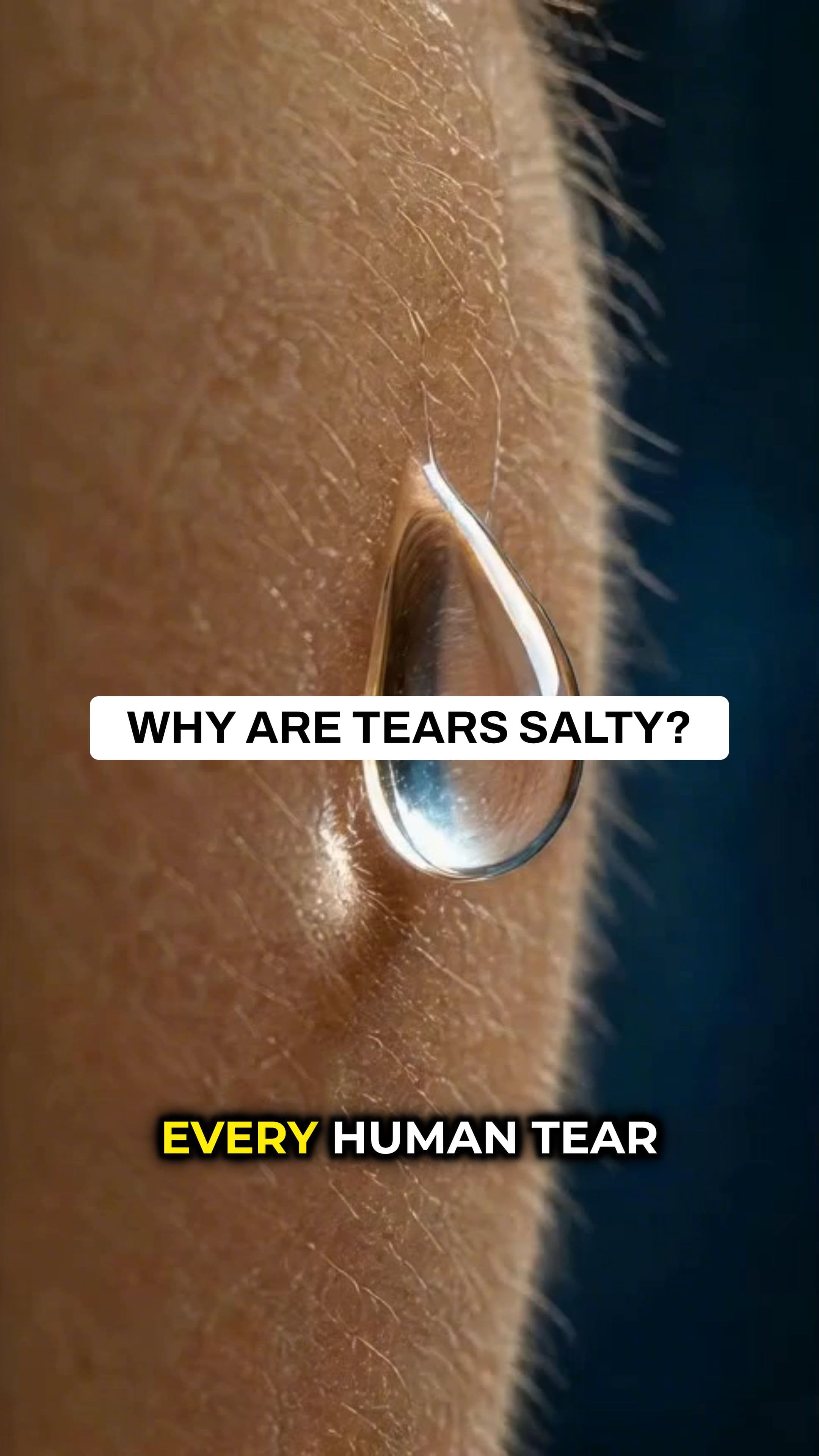 Why Tears Are Salty