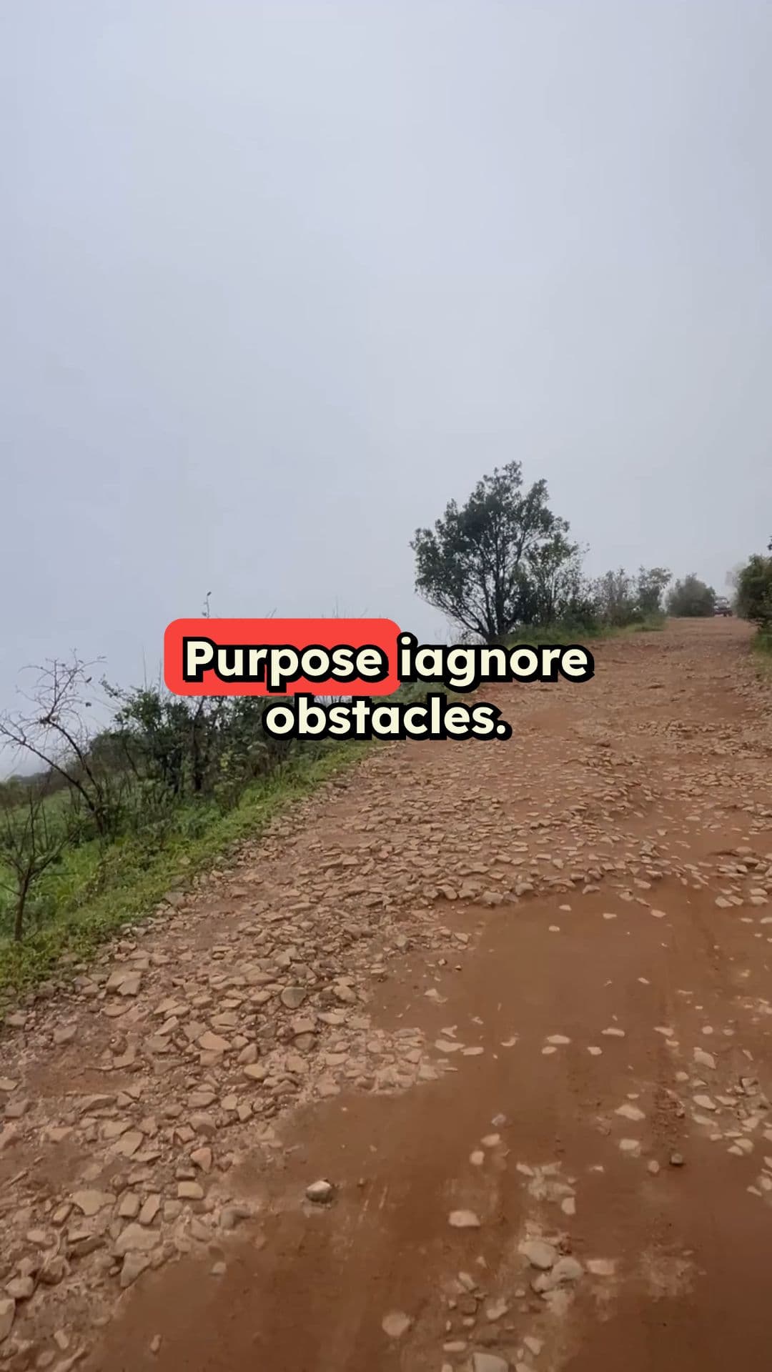 124 - Stride Through Obstacles