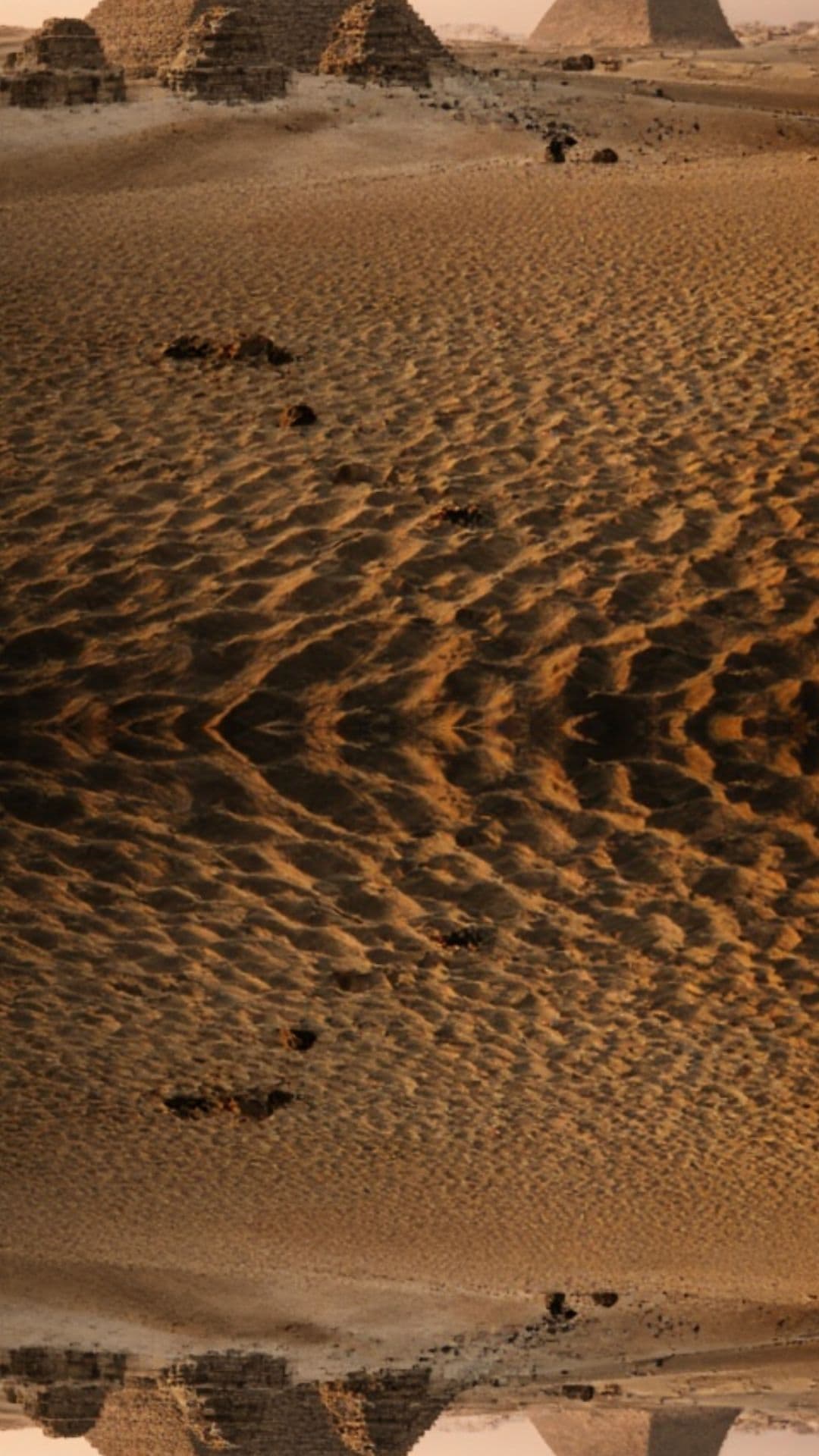 Ancient Egyptian Wild Facts