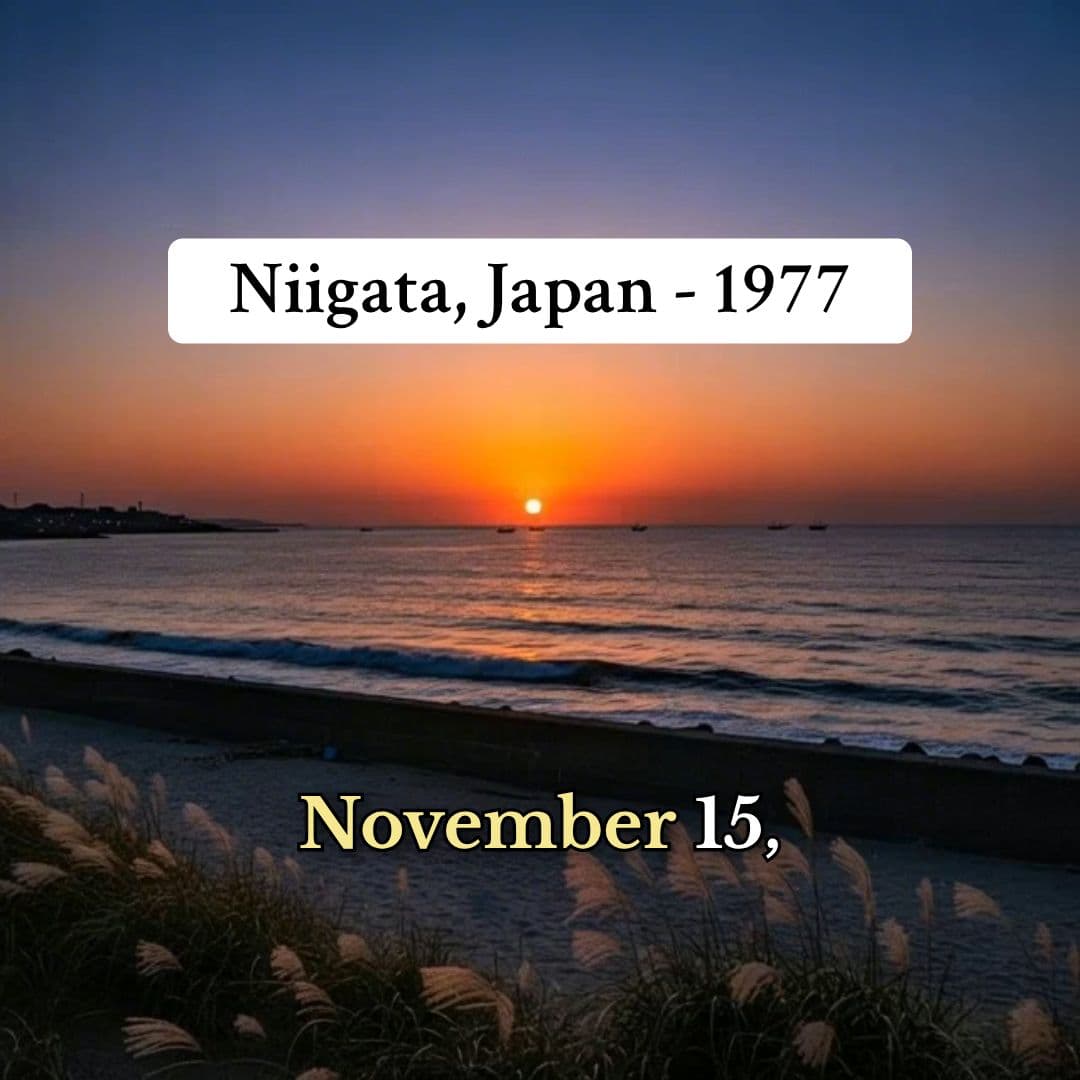 The Disappearance of Megumi Yokota