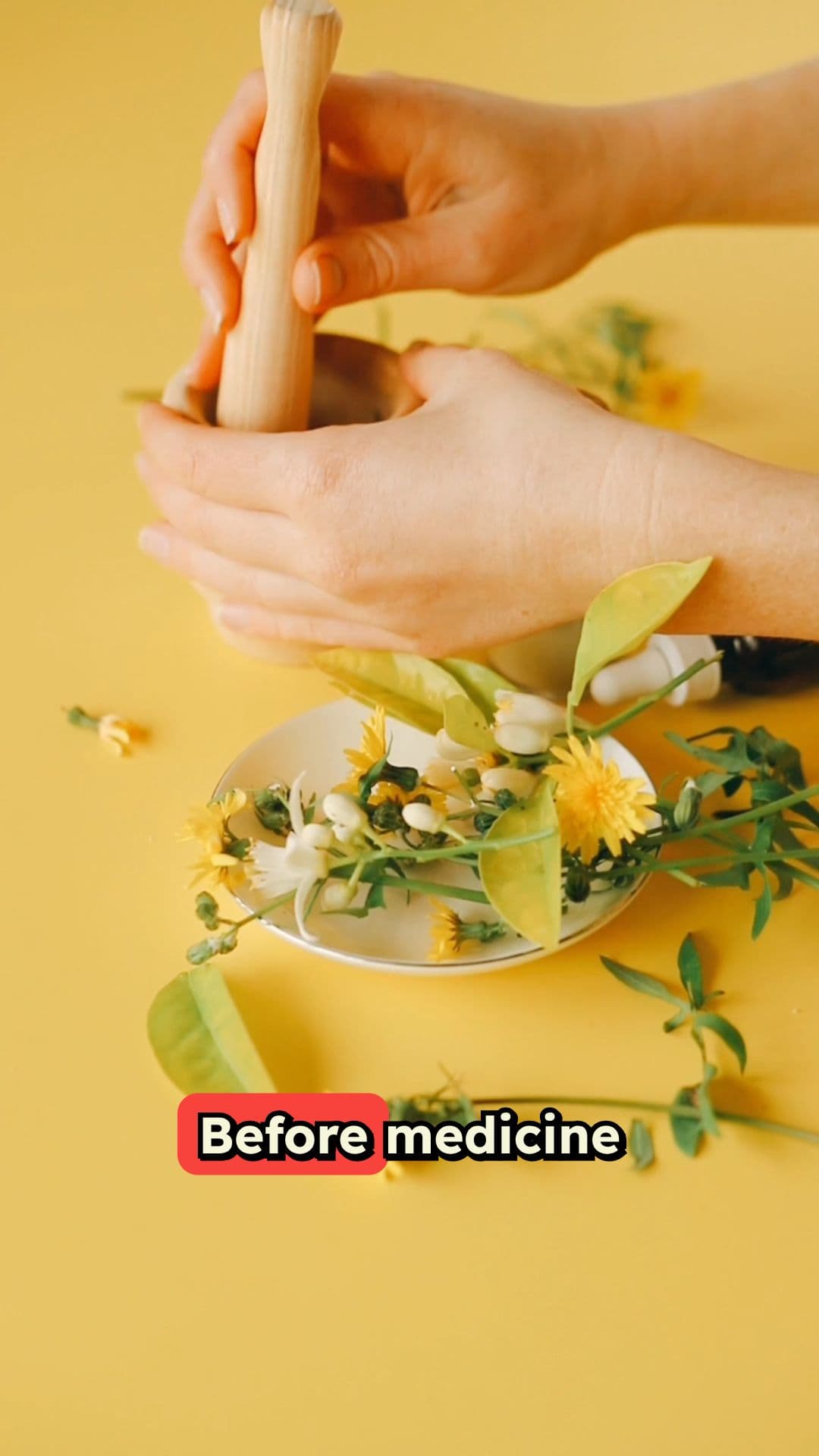 Nature's Healing: The Power of Herbs