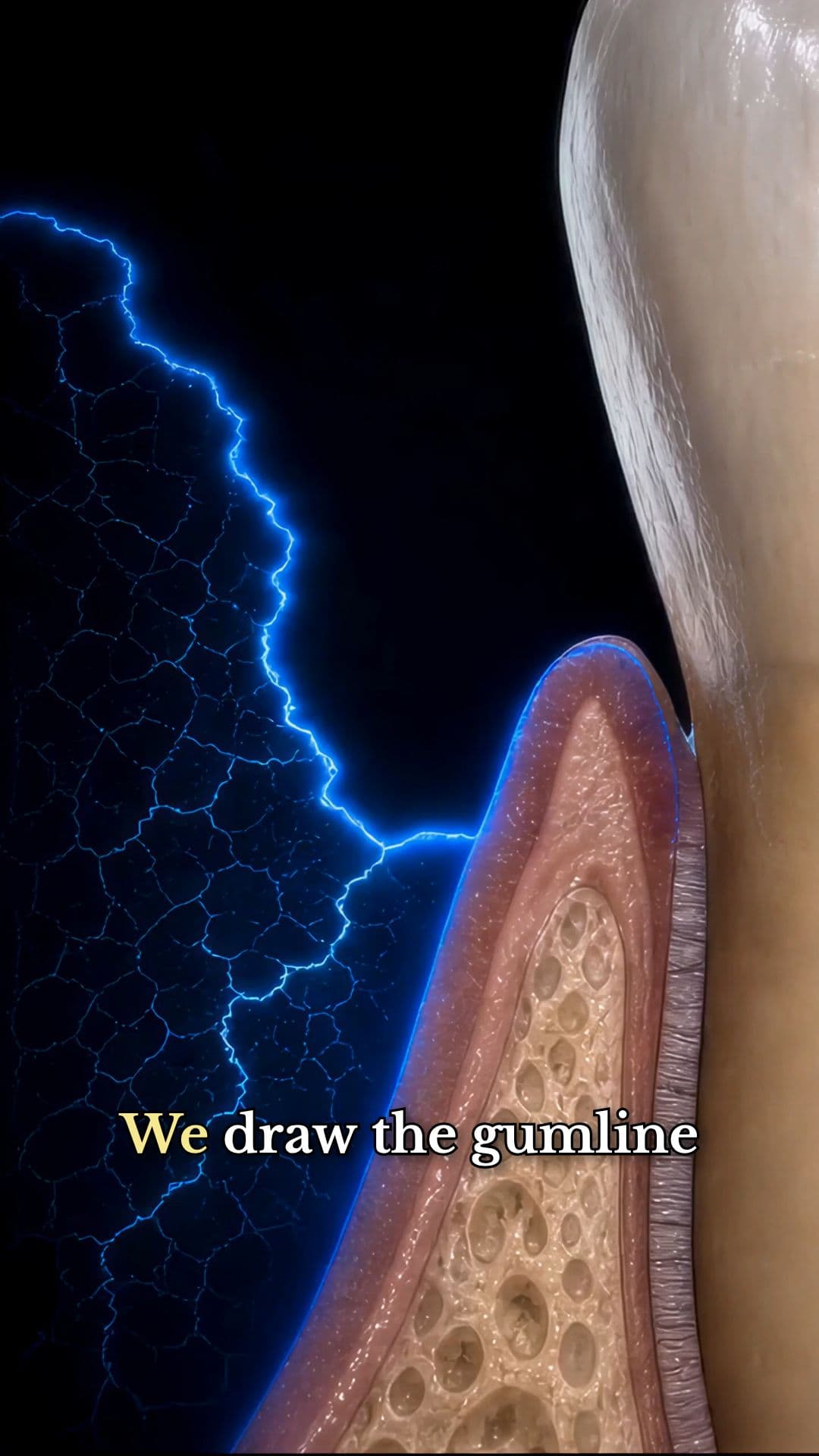 The Mouth Was Never Separate
