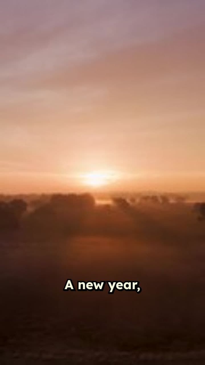 ​ ​ ​ Year to be Established