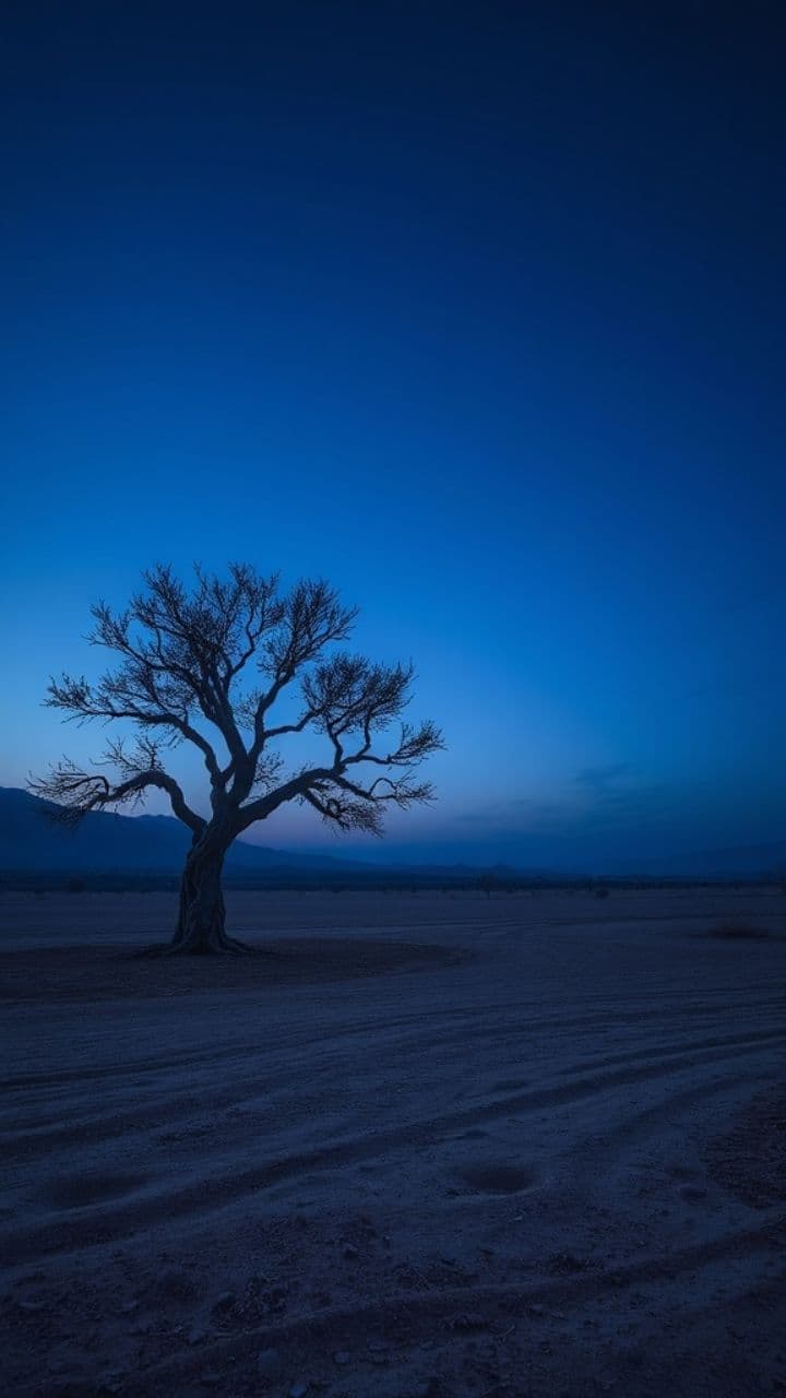 Forgive Them by Heaven Bound 777