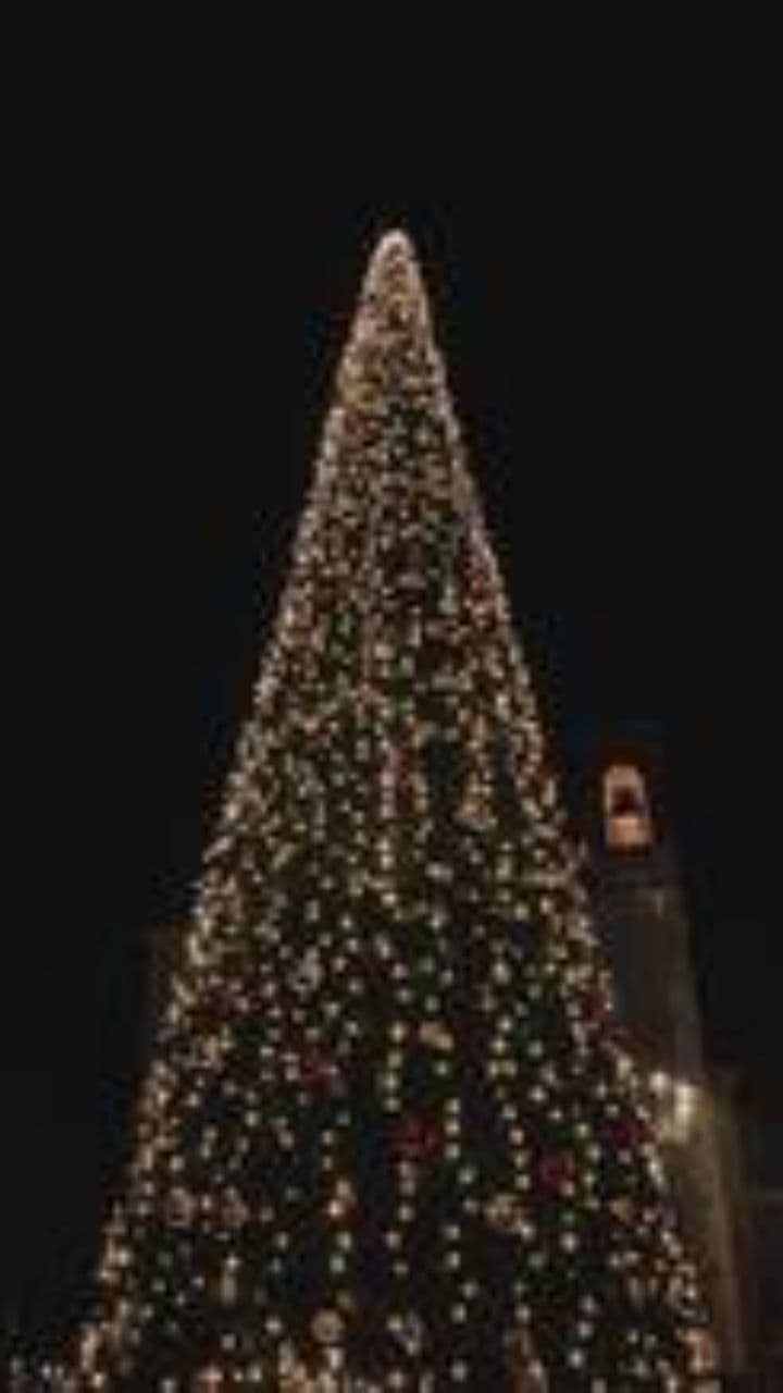 A Very Special Christmas