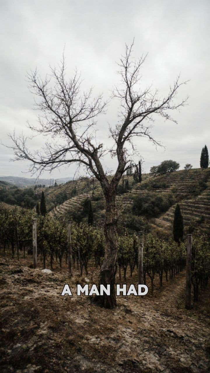 LUKE 13:6-9 - THE FIG TREE