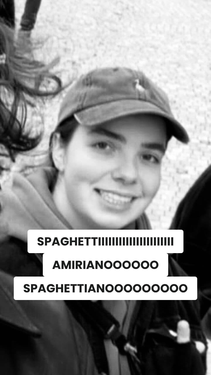 Spaghettigatto Brainrot