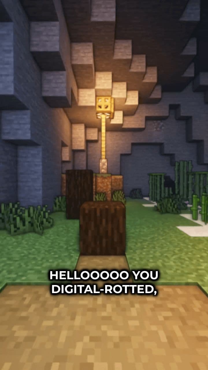 Quiz of Chaos: Rules for Survival