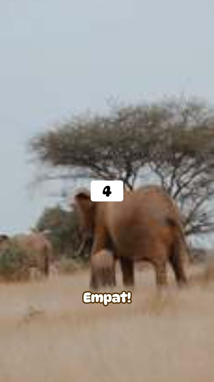 Belajar Berhitung Angka 4 Sampai 6