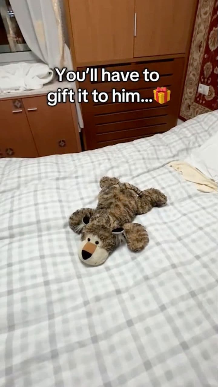 Free Plushie Confusion