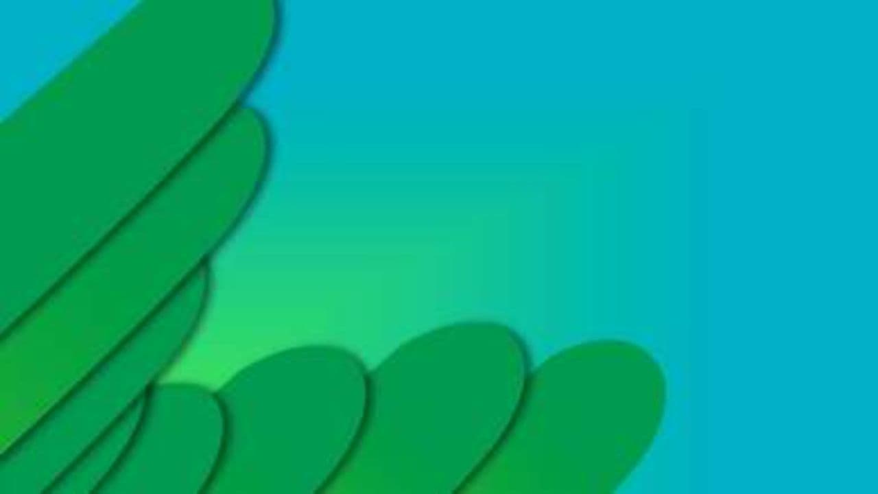 Lad dem selv, lad dem gro