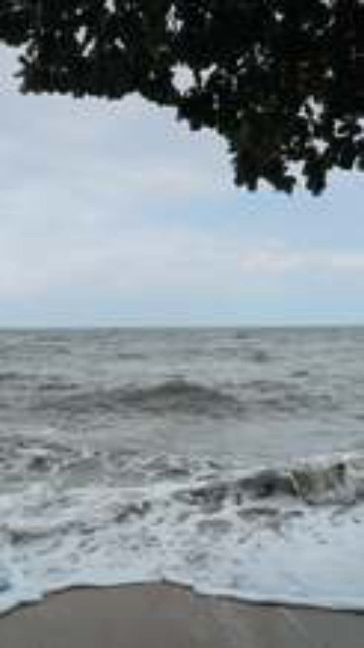 Fifty Years of Reflection