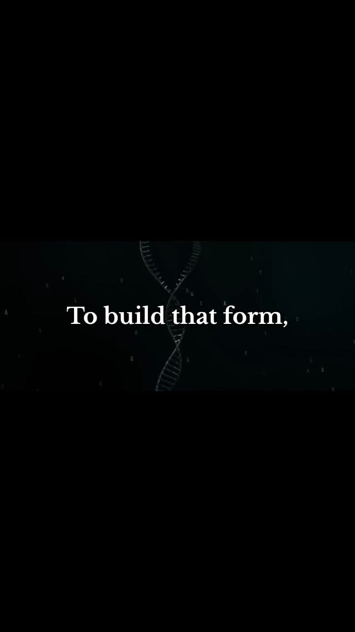 Information Always Comes From a Mind