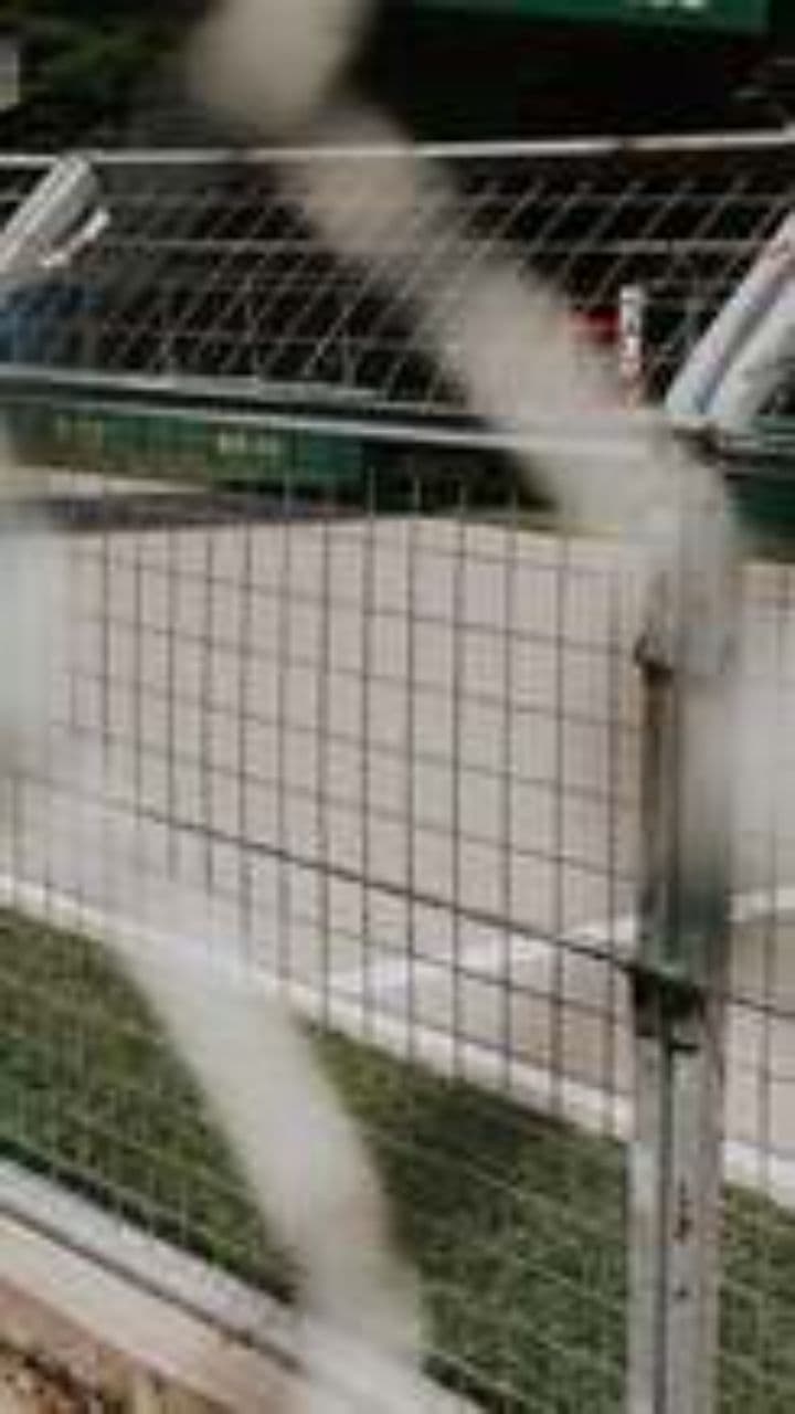 Turbo Dreams on the Track