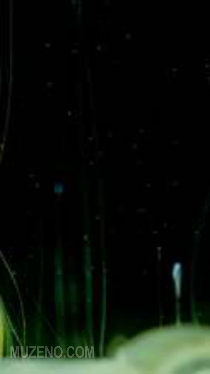 Delusionally Fine (exported)