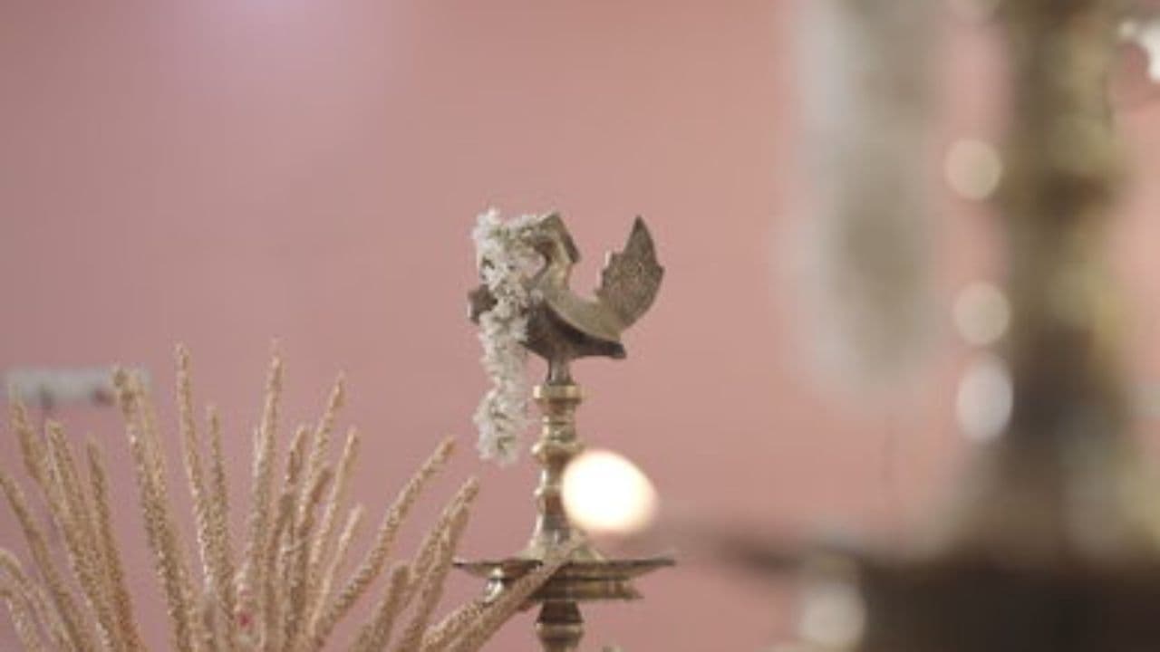 Pongal: Tamil Soul in Harvest Light