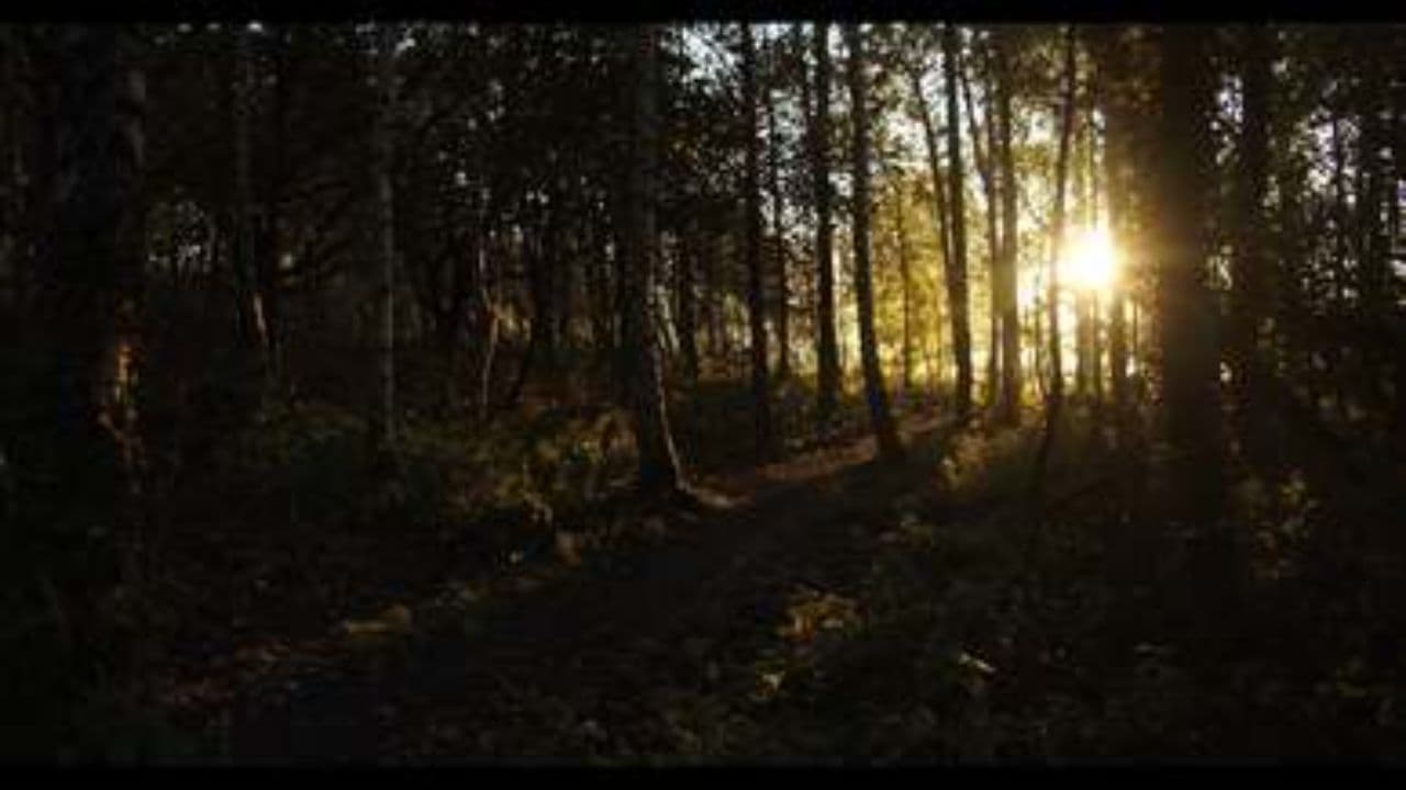 Merci pour ta fidélité