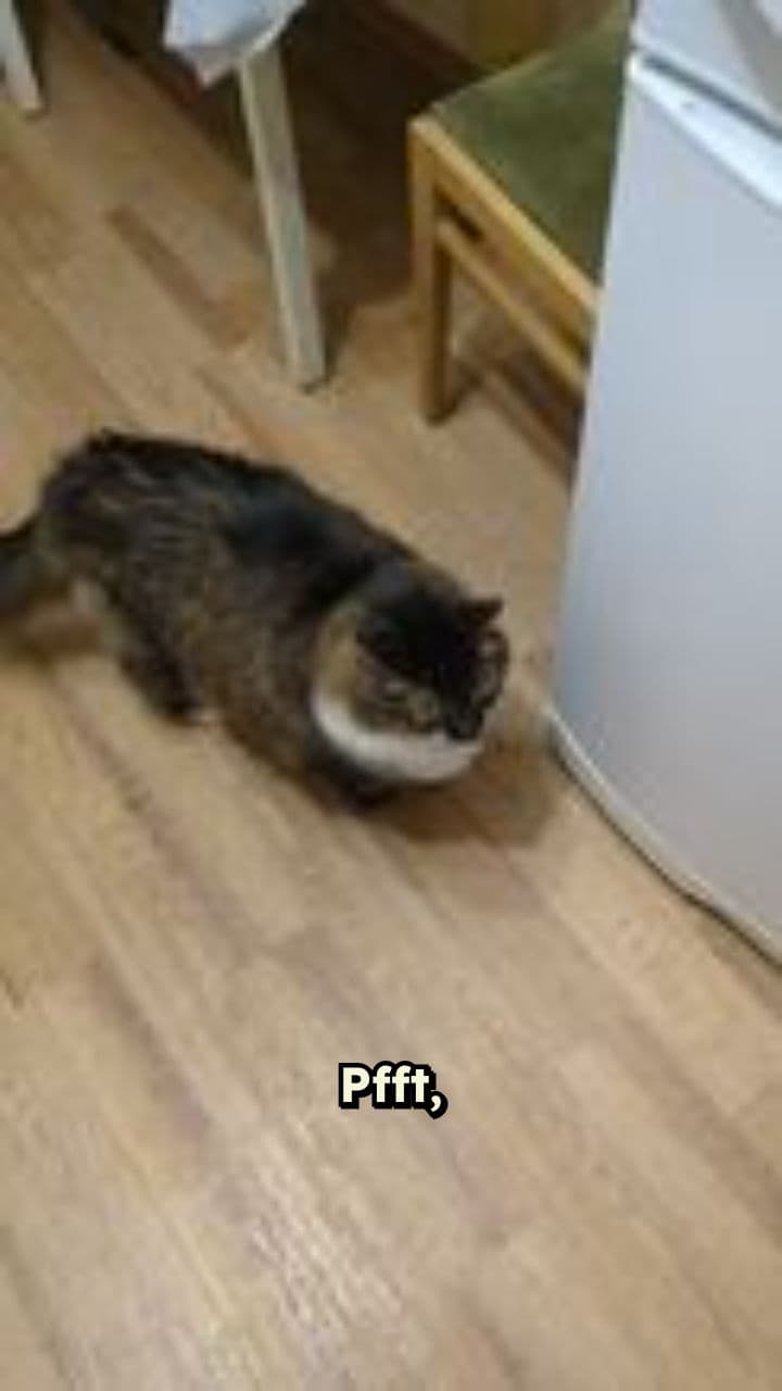 Daphne and the Cucumber: A Ferret's Fright