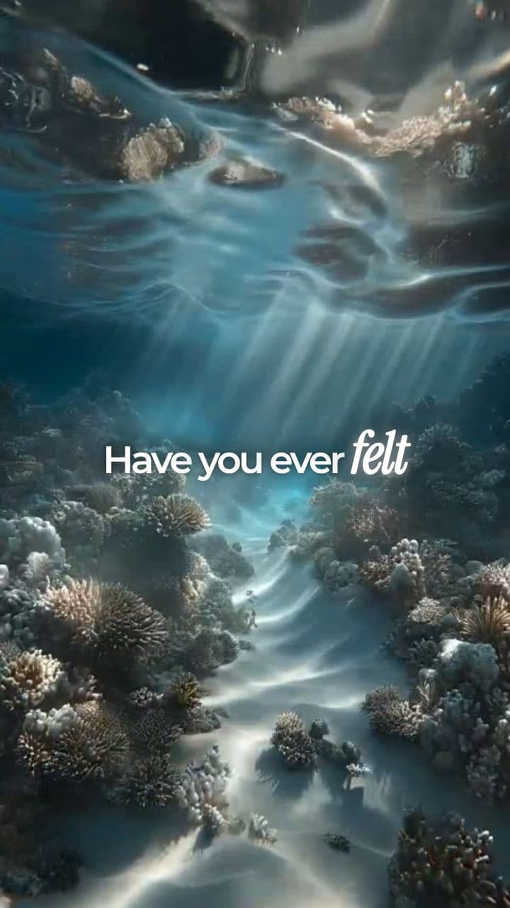 Book 6) Your Phoenix Phase