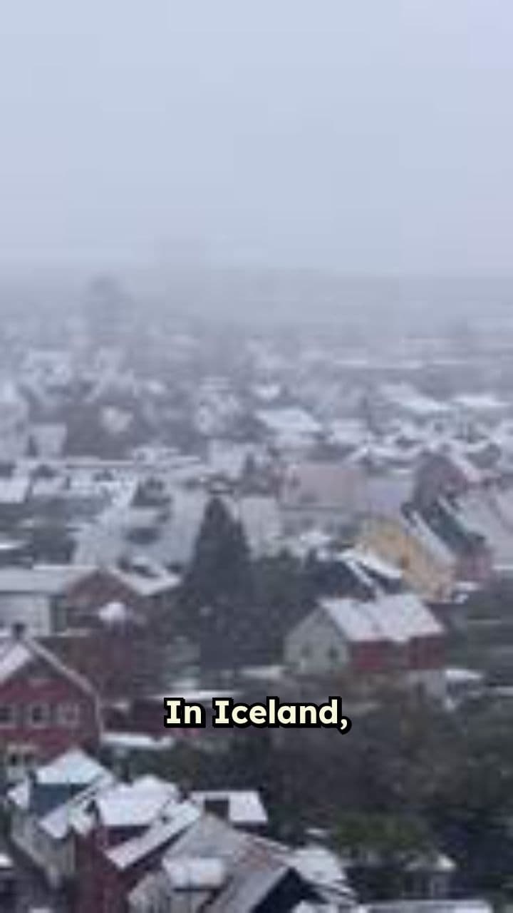 The Icelandic Broom Conspiracy