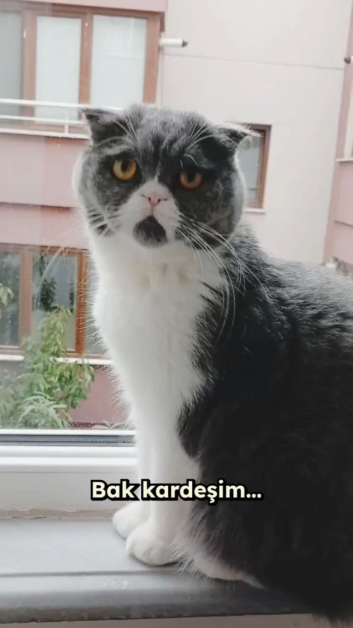 Yapay Zeka ile Viral İçerik Üretimi