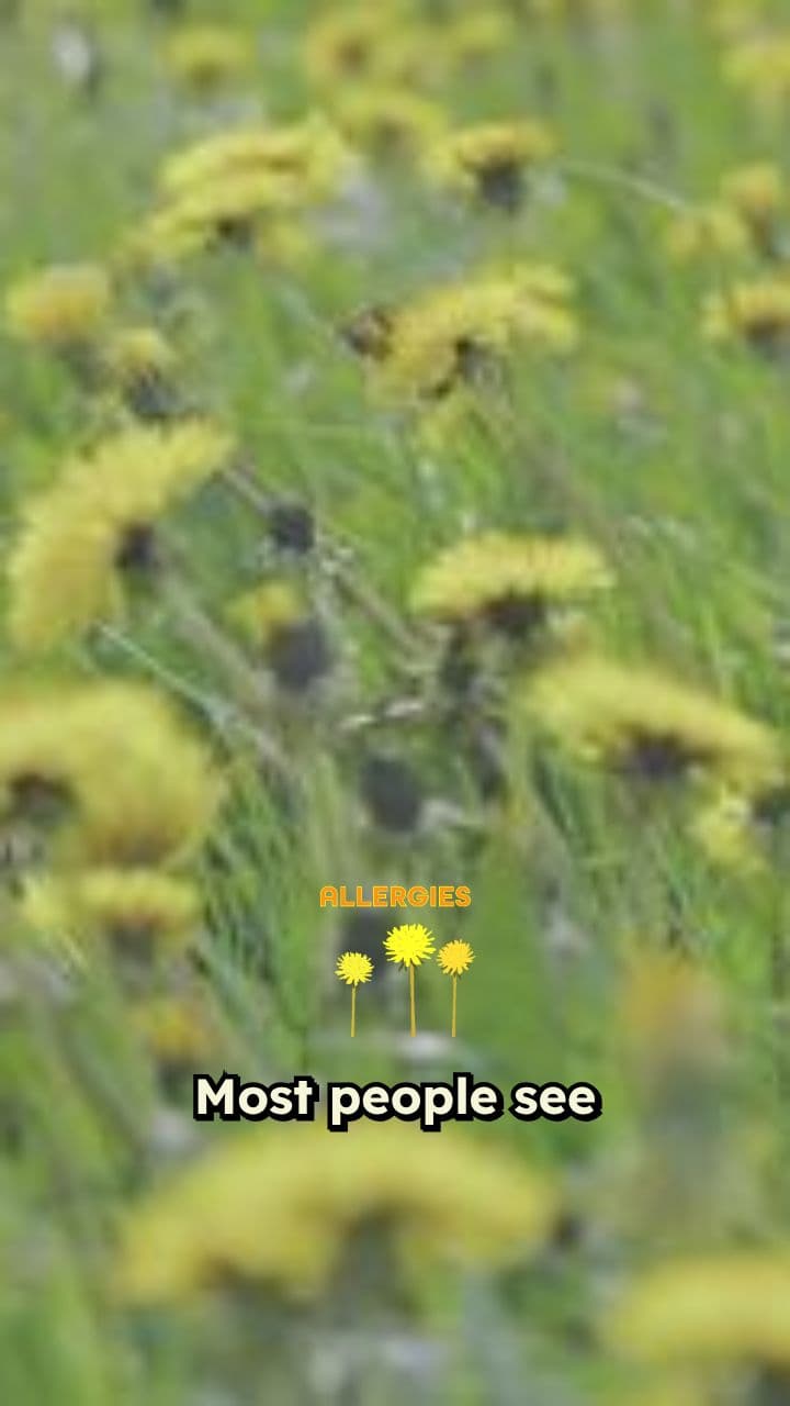 Dandelion: The Ultimate Survival Plant