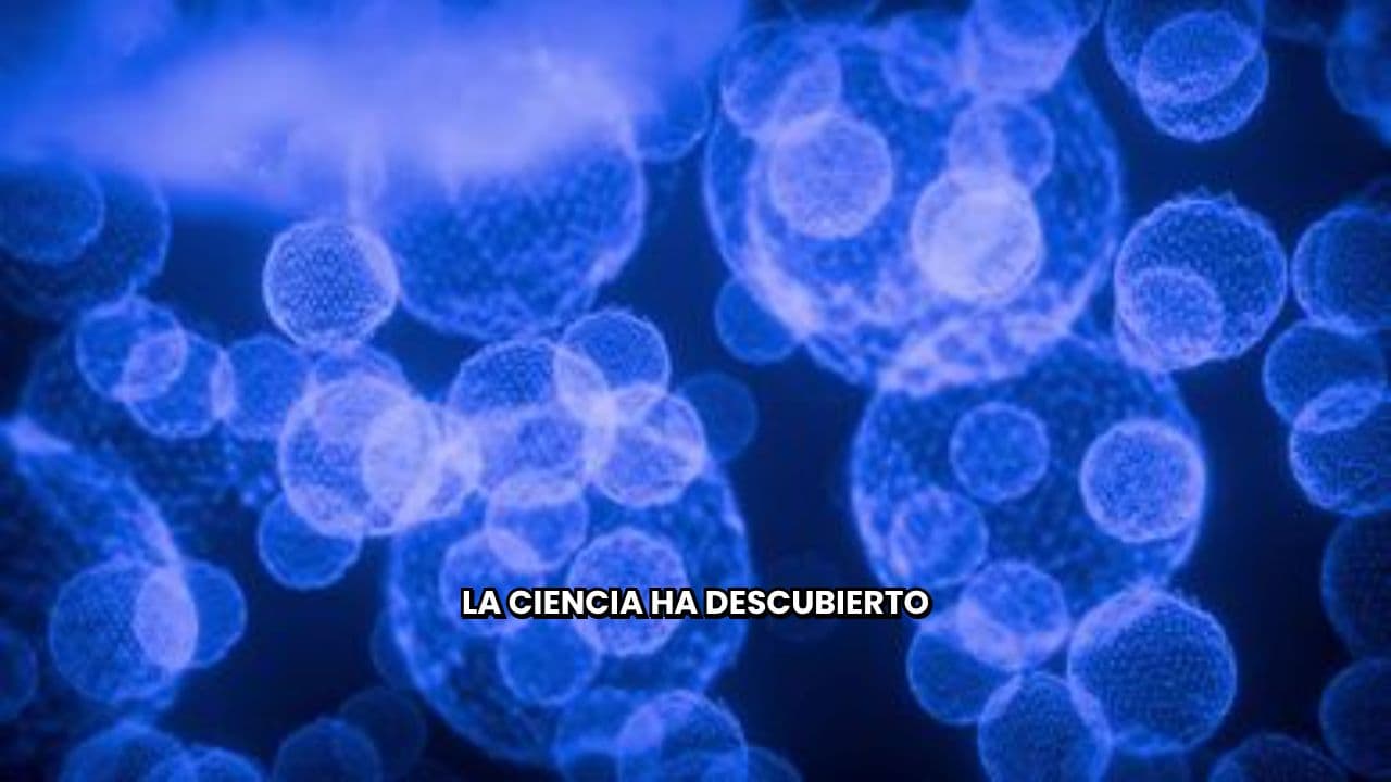 Revitaliza tus Células Madre Adultas