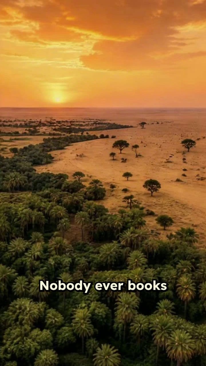 Return Ticket to Africa