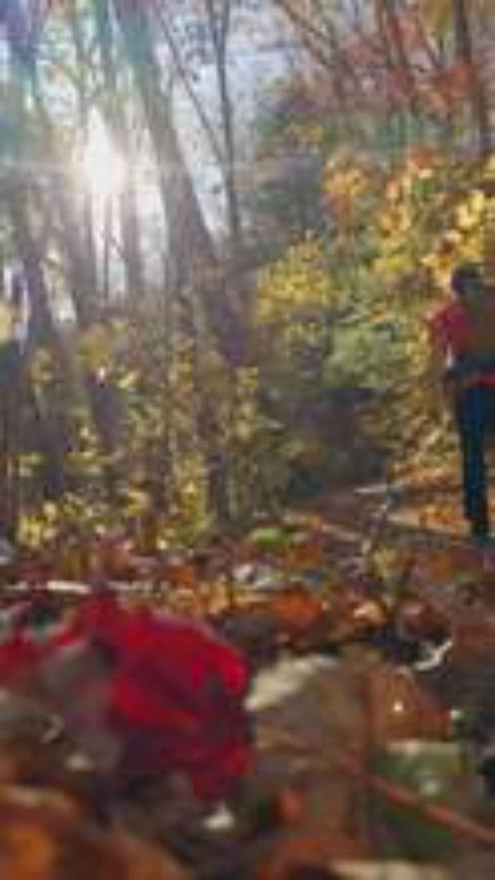 Шалунишки в лесу