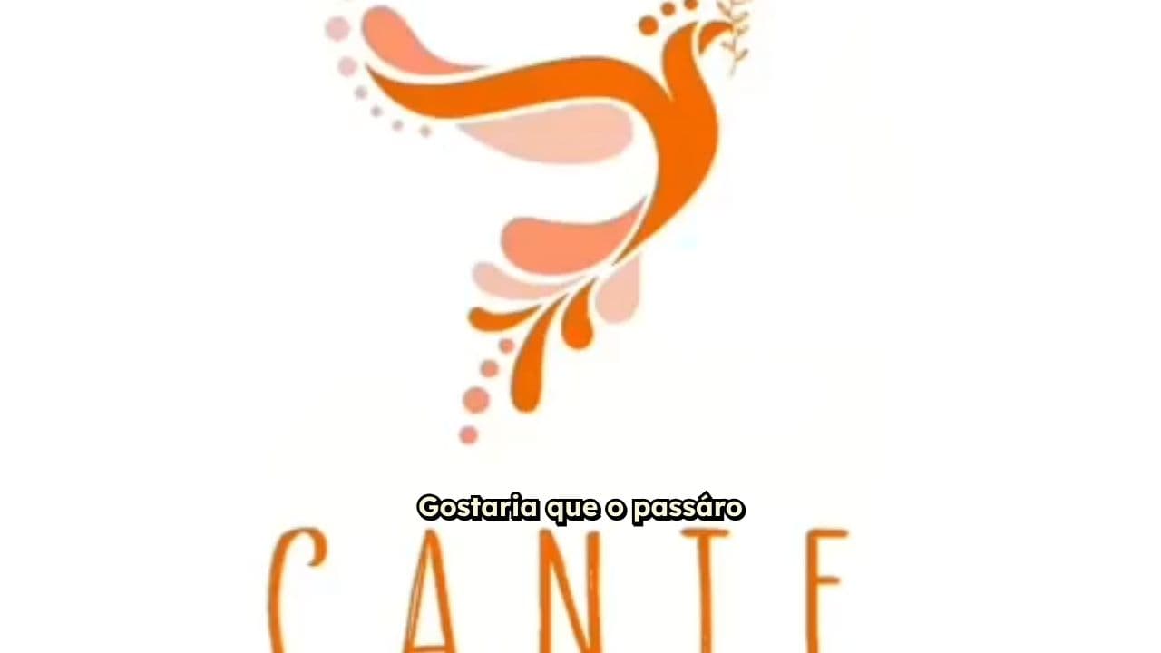 Viagem do Pássaro com Fotos