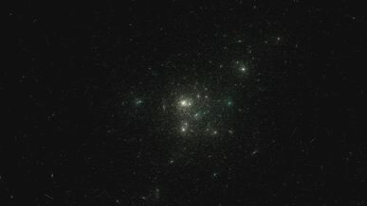 Ewolucja, technologia i iluzja miłości