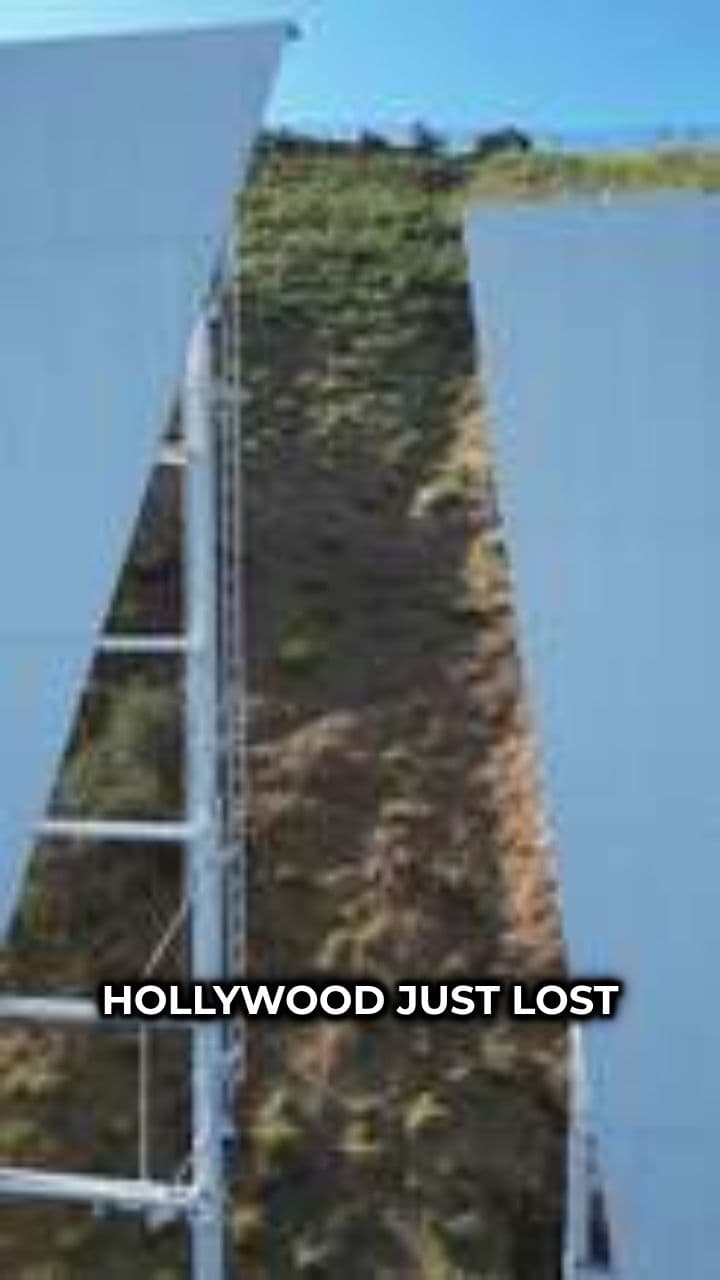 Cary-Hiroyuki Tagawa Passes Away at 75