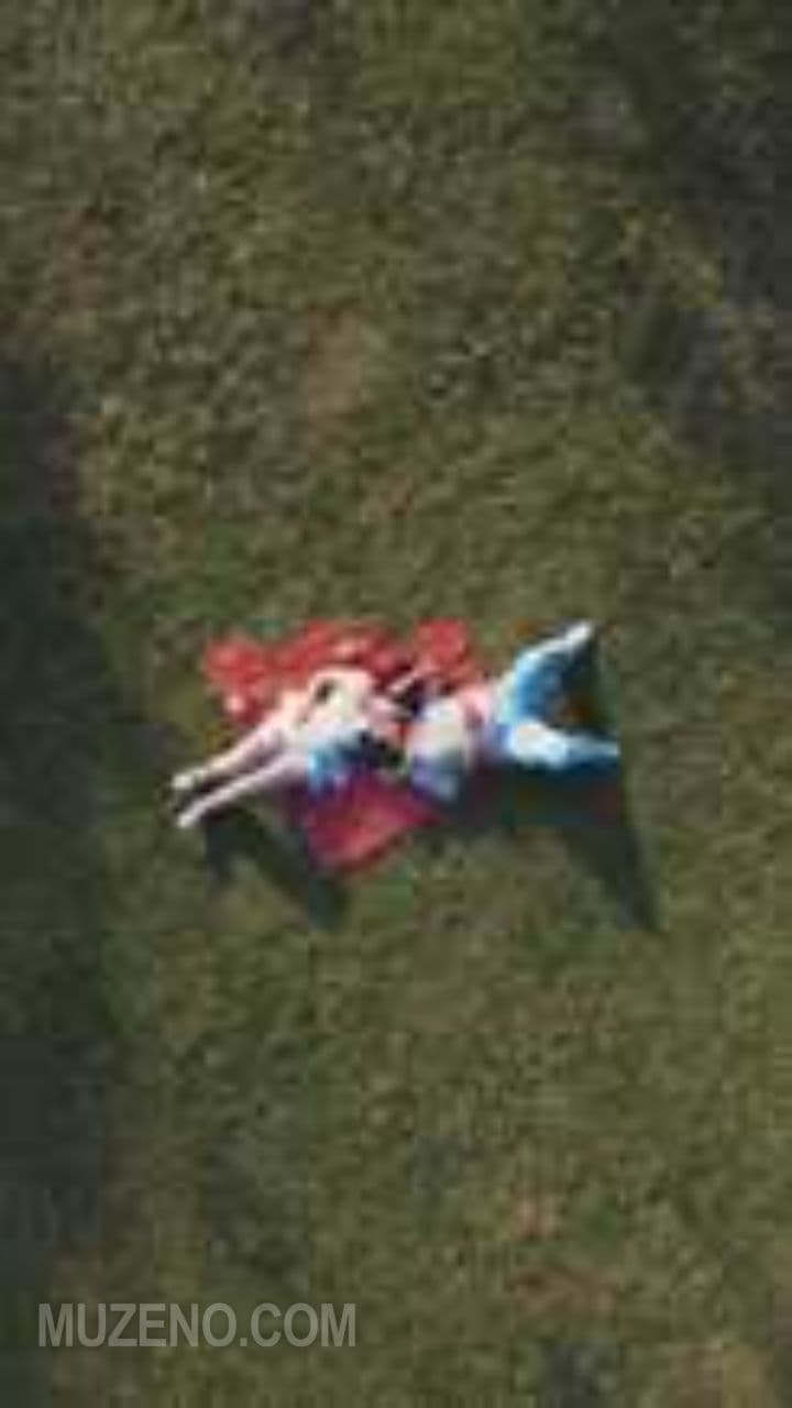 Contraband Heart (exported)