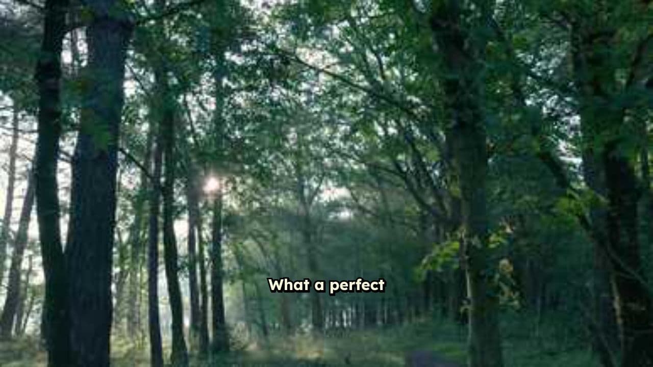 Shrik the Bear's Forest Adventure