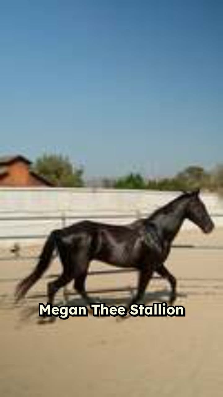 Megan Thee Stallion Wins Case Despite Dismissal