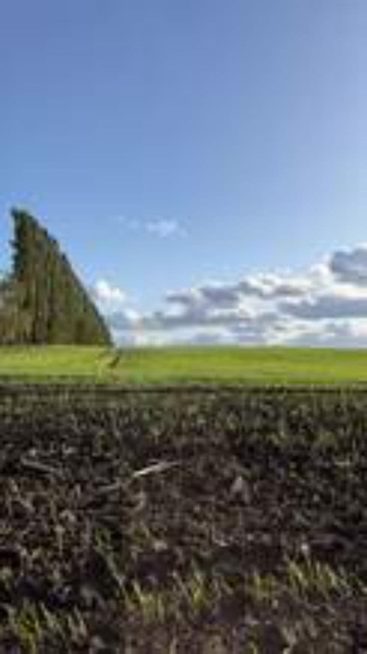 El Secreto de la Plusvalía Acelerada