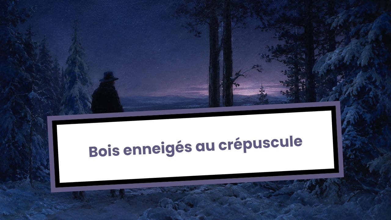Bois enneigés au crépuscule