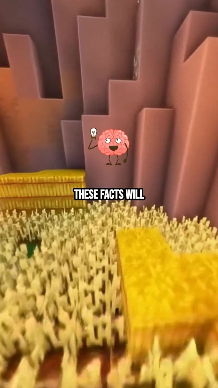 4 Facts That’ll Make Your Brain Lag (duplicated)