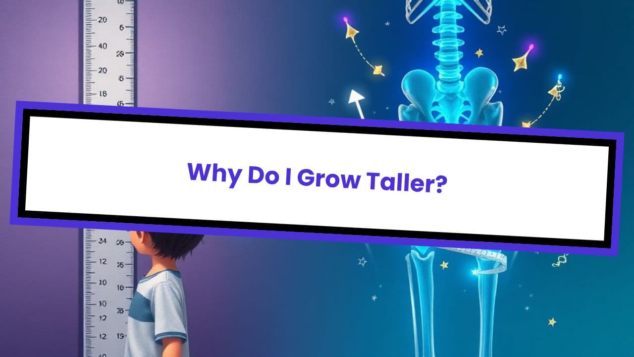 Why Do I Grow Taller?