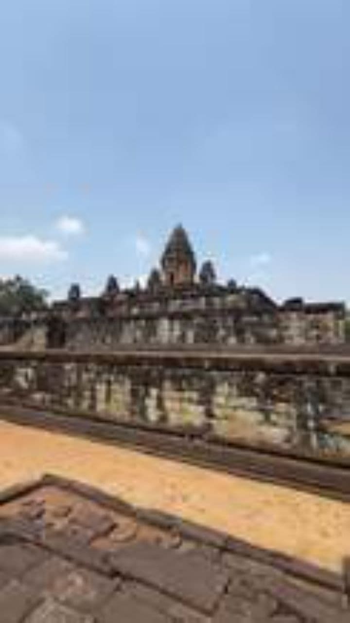 Back to the Morning Light