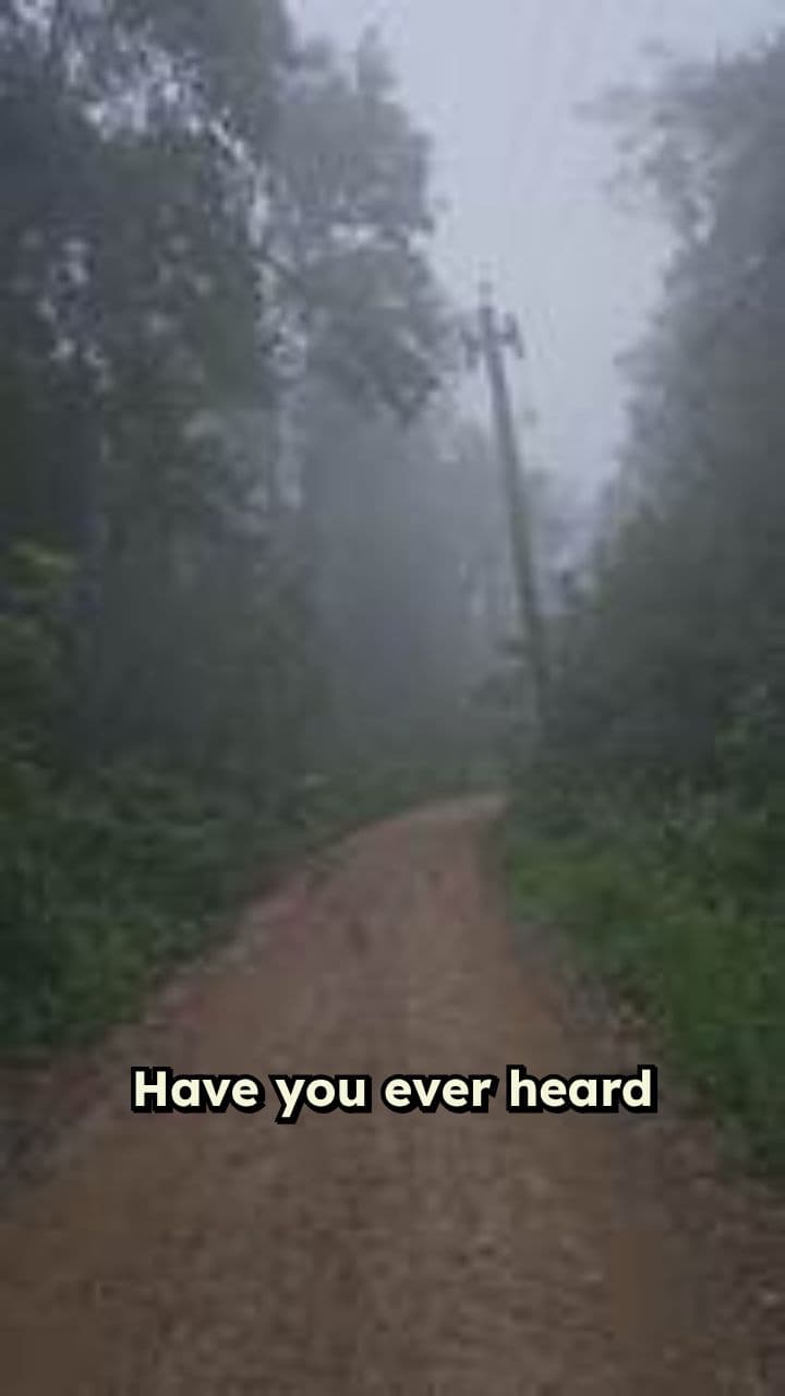 The Vanishing of Roanoke Colony