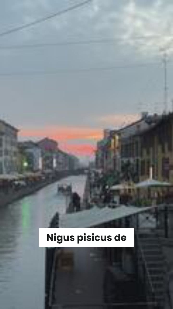 Il Ballo della Carota Pazza