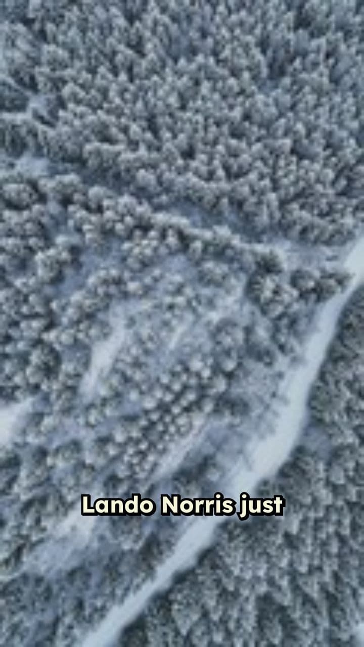 Norris Claims 2025 F1 World Championship