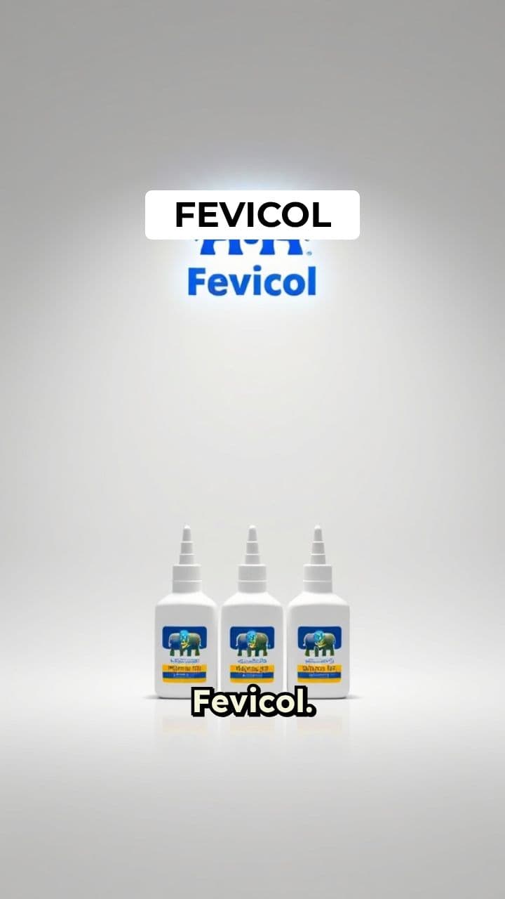 Fevicol Product Showcase