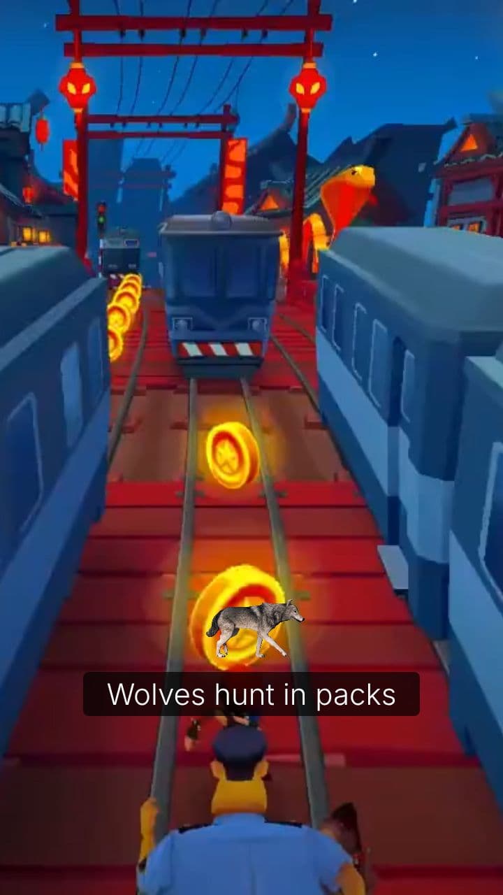 Nature's Lessons on Cooperation and Resilience