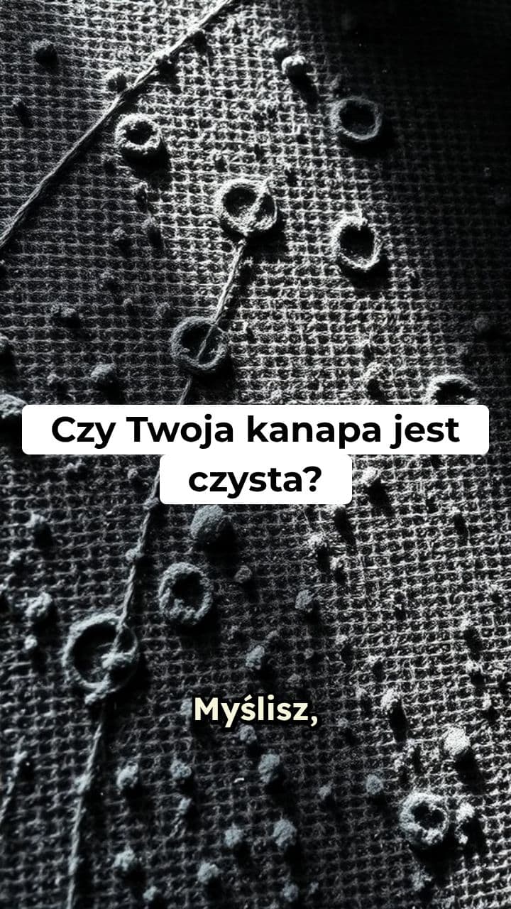 Moc Pary - Czysta Kanapa