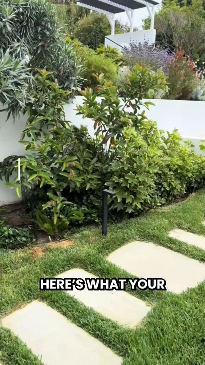 89 V1 - Trimen (Japs Editing)