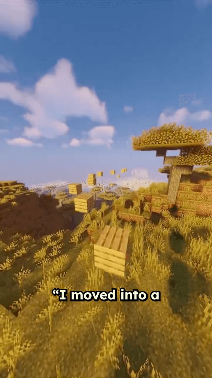 The Watchful Neighbor