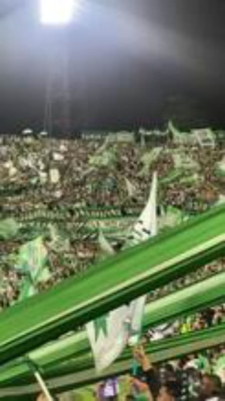 Sektion 11 Cante: Einheit und Loyalität