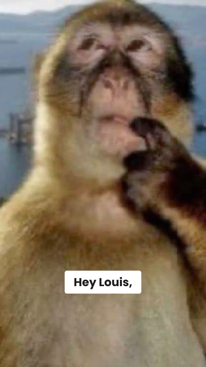 Louis's Brainrot Birthday